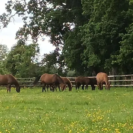 度假居 Marlilou-3 Minutes A Pied De La
